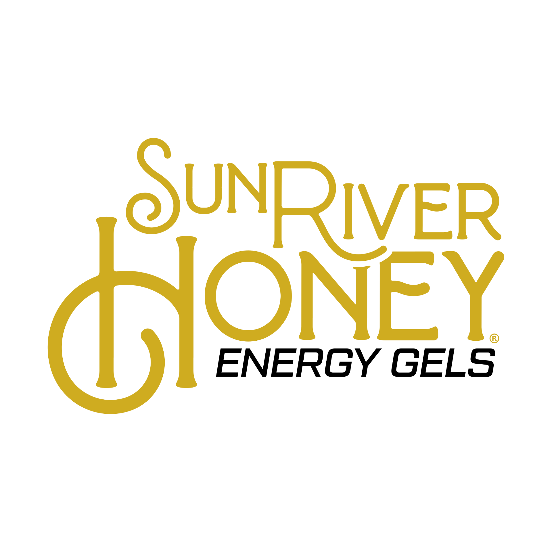 Sponsors and Partners